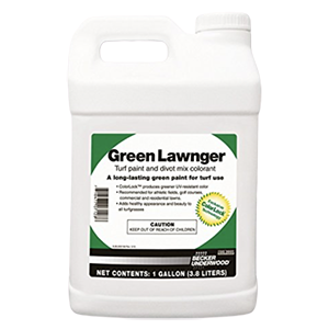 Green Lawnger Product Image