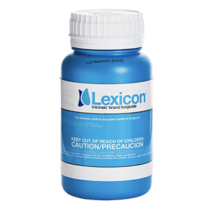 Lexicon Product Image