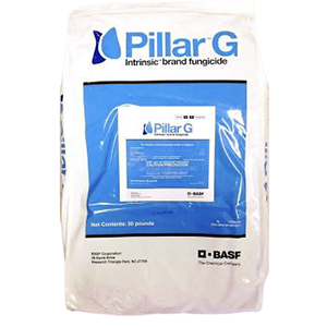 Pillar G Product Image