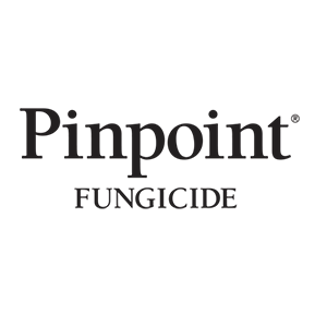 Pinpoint Product Image