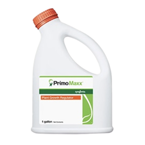 Primo Maxx Product Image