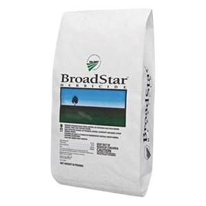 BroadStar Product Image