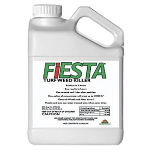 Fiesta Product Image