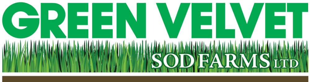 Green Velvet Sod Turf Care Supply Seed, Central Sod Farms Inc