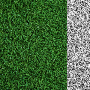 managing sports turf