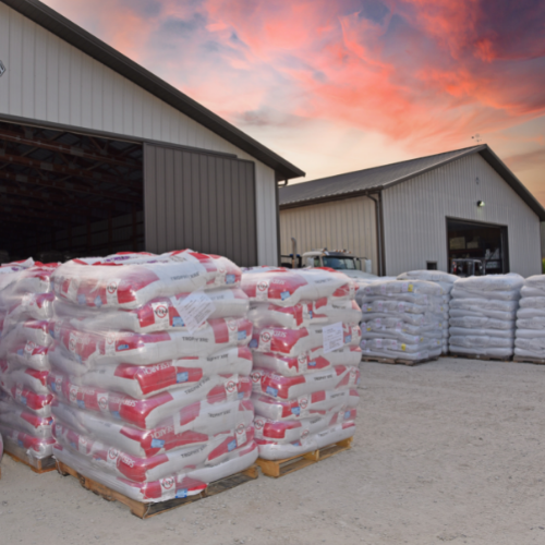 Seed Shortage? Green Velvet Sod Turf Care Supply Seed